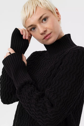 Leah Cotton Cable-Patterned Turtleneck in Black