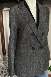 Sequin Blazer in Silver